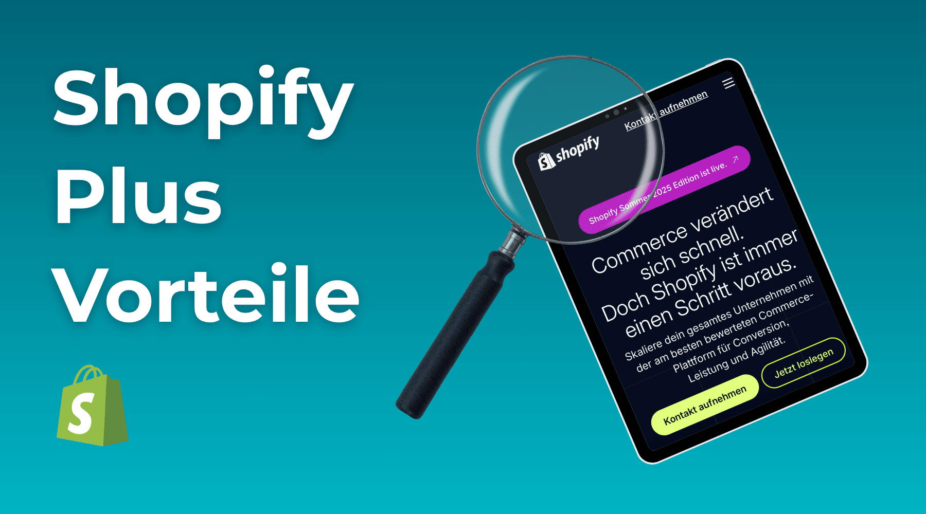 Shopify Plus Vorteile