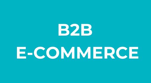 ecommerce for b2b