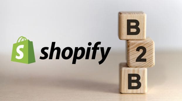 Shopify B2B